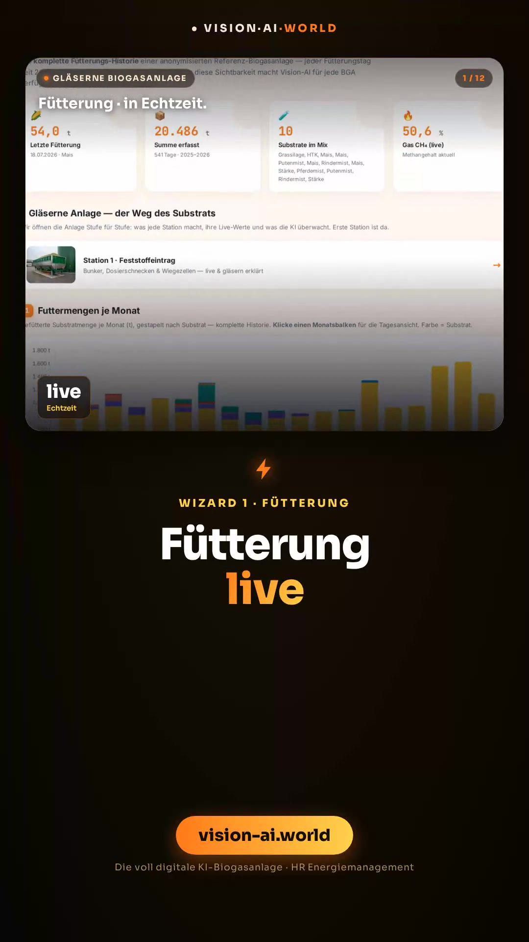 Der Film