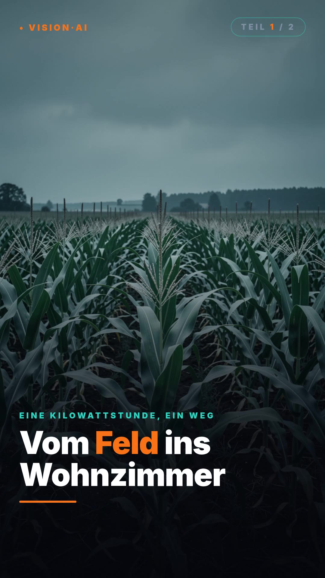 Vom Feld ins Wohnzimmer